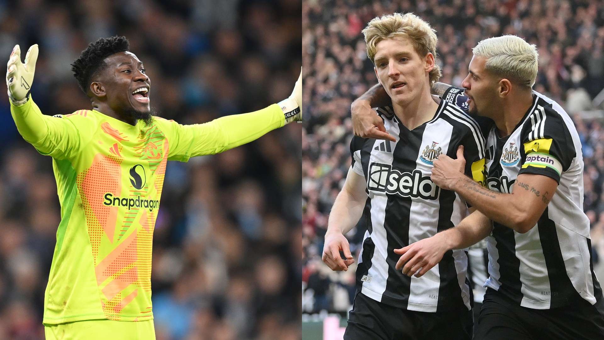 更促进了当 更促进了当