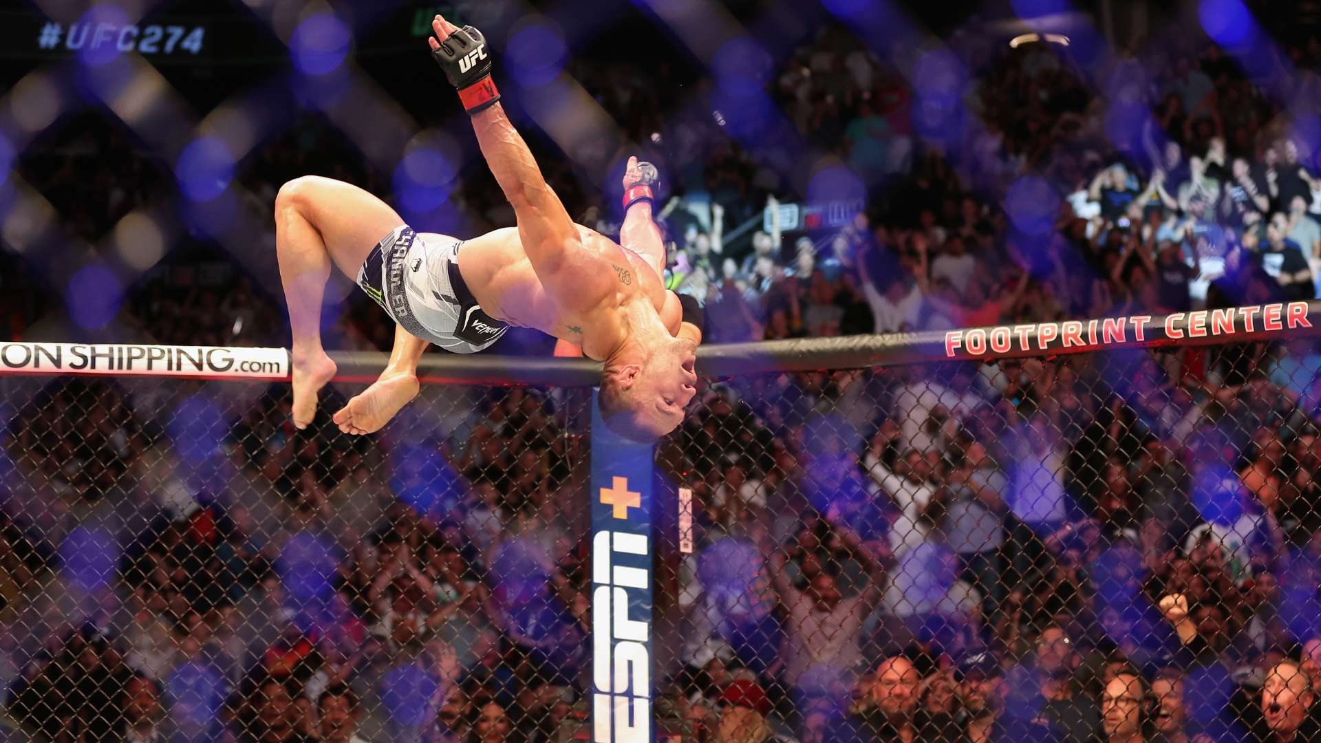 不仅提升了 不仅提升了